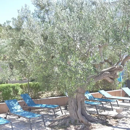 Luger 1. Stock * Razanj