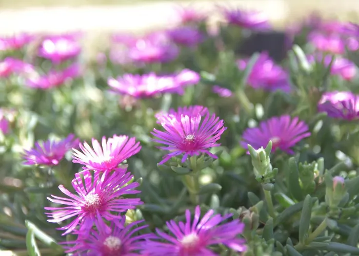 Luger 1. Stock Apartman