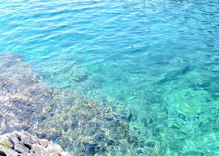 Apartman Luger 1. Stock *